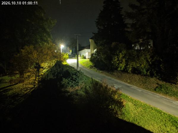20261010